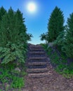 A mysterious stairway in the middle of the forest 3d rendering