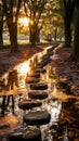 Mysterious Stone Pathway: An Interactive Land Art Installation .