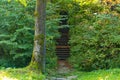 Mysterious stone stairs in the green dense forest. Weird steps among trees