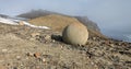 Mysterious stones of Champ Island in Arctic