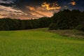 A mysterious sunset over a forest meadow Royalty Free Stock Photo