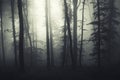 Mysterious surreal forest with fog