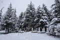 Mysterious texture of cemeteries with winter scenery and snowfall