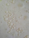 Mysterious texture, surface, exploration.unreal surface. bubbles Royalty Free Stock Photo