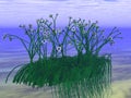 Mysterious underwater daisies