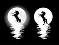 Mysterious unicorn horse and full moon water reflection black and white vector design Royalty Free Stock Photo