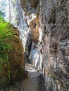 Mysterious walk through the rock walls of Purlingbrook Falls Springbrook Qld Australia