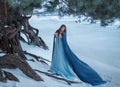 A mysterious wanderer in a luxurious dress and a blue cloak that flutters in the wind. On the background of a frozen