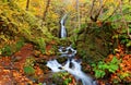 A mysterious waterfall tumbles down a cliff into a rocky stream in the colorful fall forest in Oirase, Towada Hachimantai National