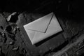 Mysterious white envelope on dark stone surface surrounded by fallen leaves Royalty Free Stock Photo