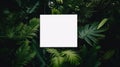 Mysterious White Square in the Lush Jungle Royalty Free Stock Photo