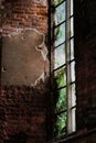 Mysterious window in an old brick building with a lot of green outside Royalty Free Stock Photo