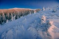 Mysterious winter landscape majestic mountains in . Magical snow covered tree. In anticipation of the holiday. Dramatic Royalty Free Stock Photo