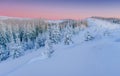 Mysterious winter landscape majestic mountains in . Magical snow covered tree. In anticipation of the holiday. Dramatic Royalty Free Stock Photo