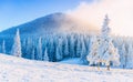 Mysterious winter landscape majestic mountains in winter. Magical winter snow covered tree. Winter road in the mountains Royalty Free Stock Photo