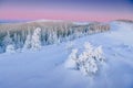 Mysterious winter landscape majestic mountains in winter. Magical winter snow covered tree. Winter road in the mountains Royalty Free Stock Photo