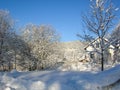 Mysterious winter landscape majestic mountains in winter. Magical winter snow covered tree. Winter road in the mountains. In antic Royalty Free Stock Photo