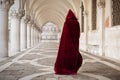 Mysterious woman in red cloak Royalty Free Stock Photo