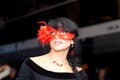 Mysterious woman wearing masquerade eye mask Royalty Free Stock Photo