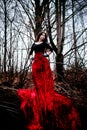 Mysterious woman or witch in long red dress standing in dark forest Royalty Free Stock Photo