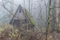 Wooden hut in a fogy forest Royalty Free Stock Photo