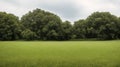 A Mysteriously Alluring Green Field With Trees In The Background AI Generative