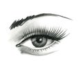 Mysteriously beautiful woman`s eye with delicately curved eyelashes and an eyebrow. Graphic drawing with slate pencil. Isolated on