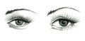 Mysteriously beautiful woman`s eye with delicately curved eyelashes and an eyebrow. Graphic drawing with slate pencil. Isolated o