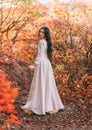 Mystery art portrait fantasy woman queen walking in gothic autumn forest, white vintage style dress. Girl princess long Royalty Free Stock Photo