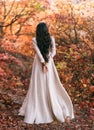 Mystery art portrait fantasy woman queen walking in gothic autumn forest, white vintage style dress. Girl princess long Royalty Free Stock Photo