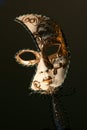 THE MYSTERY OF THE CLASSIC VENETIAN MASK Royalty Free Stock Photo