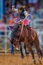Mystery cowboy bucks on wild mustang in Florida Rodeo