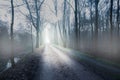 Mystery dark fog forest long road