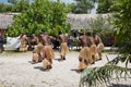 Mystery Island Dancers