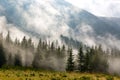 Mystery scene in mountains