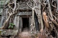 Mystery of Ta Prohm