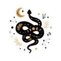 Mystic animal, moon floral serpent, celestial snake, mystical moon, stars isolated. Black gold colors