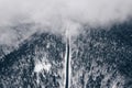 Mystic atmosphere with a road in the forest entering fog Royalty Free Stock Photo