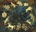 Mystic background with chinese zodiac animals and copyspace Royalty Free Stock Photo