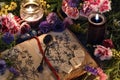 Still life with old book with botanical drawings, black candles, flowers and ritual objects