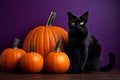 Mystic Black Cat: Halloween's Charismatic Icon
