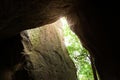 Mystic cave in an ancient forest