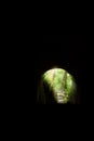 Mystic cave or tunnel up to a deep forest