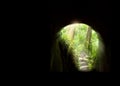Mystic cave or tunnel up to a deep forest