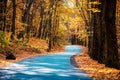 Mystic charming enchanting landscape with a road in the autumn forest and fallen leaves on the sidewalk Royalty Free Stock Photo