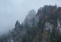 Mystic cloudy and foggy autumn mountain slopes