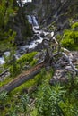 Mystic Falls Yellowstone National Park Royalty Free Stock Photo