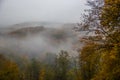 Mystic fog in the mountains