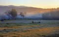 Mystic foggy landscape