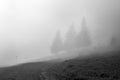 Fog over a mountain path in a forest Royalty Free Stock Photo